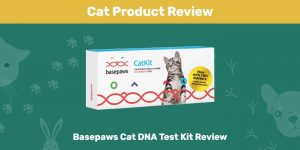 Basepaws Cat DNA Test Kit Review 2022: Is It a Good Value?