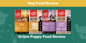 Orijen Puppy Food Review 2022: Pros, Cons, Recalls and FAQ