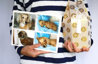 How Much Does It Cost To Cremate a Dog? (2022 Price Guide)