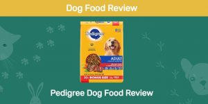 Pedigree Dog Food Review in 2022: Recalls and Pros & Cons