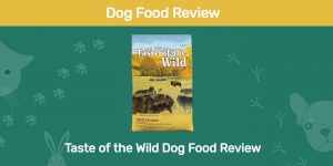 Taste of the Wild Dog Food Review 2022: Recalls, Pros & Cons