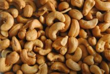 Can Cats Eat Cashews? What You Need to Know!