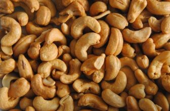 Can Cats Eat Cashews? What You Need to Know!