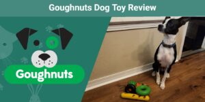 Goughnuts Dog Toy Review 2023: Is It a Good Value?