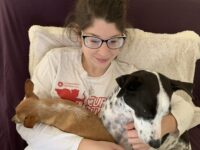 Puppy Love At First Sight… Or Not? 🐾 Little Dog Tips