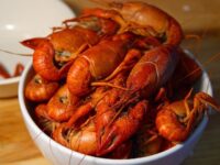 Can Dogs Eat Crawfish? Vet Reviewed Facts & FAQs