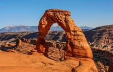 Are Dogs Allowed in Arches National Park? 2023 Update