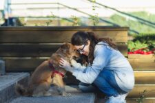 Animal Pain Awareness Month 2023: What It Is & When It’s Celebrated