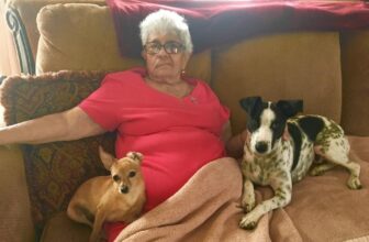 In Memory of my Grandma 🐾 Little Dog Tips