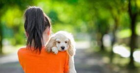 Finding The Perfect Furry Family Member
